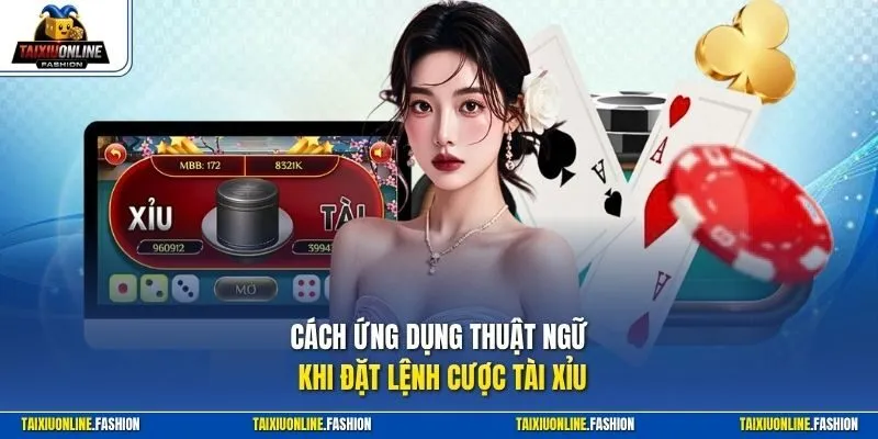 Cách ứng dụng thuật ngữ khi đặt lệnh cược Tài Xỉu